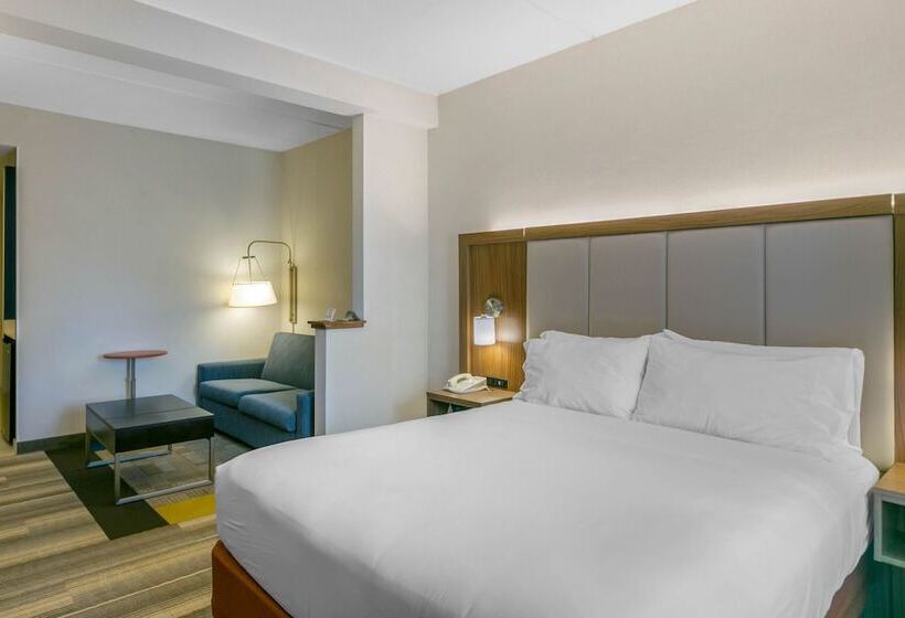 스위트, Holiday Inn Express Mount Arlington, An Ihg
