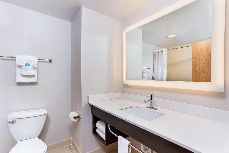 带大床的套房, Holiday Inn Express & Suites Morristown, An Ihg