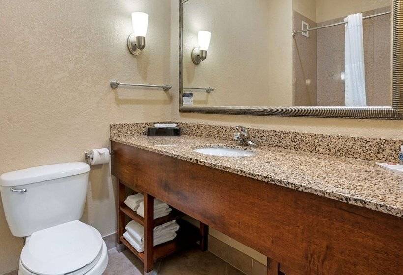 Люкс, Comfort Suites Merrillville Near Us 30