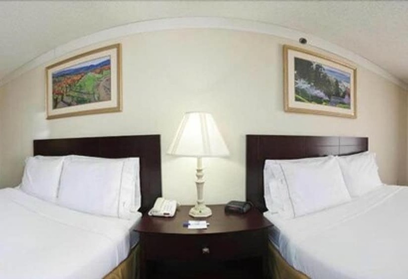 Люкс, Holiday Inn Express Hotel & Suites Plainview, An Ihg