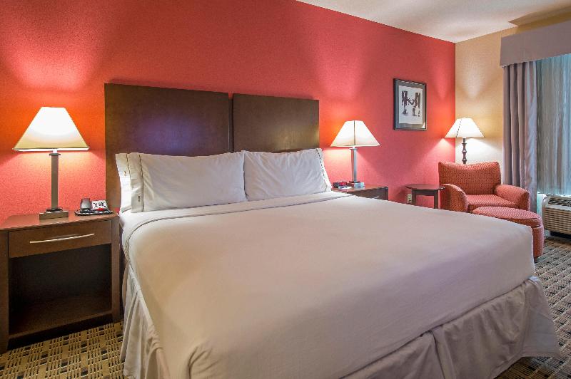 Standaardkamer met Kingsize Bed, Holiday Inn Express Houston Space Center Clear Lake, An Ihg