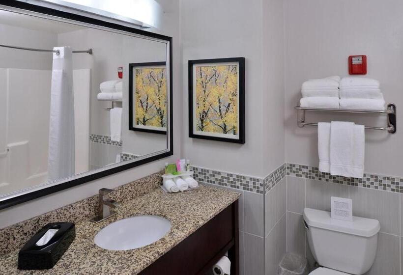 Стандартный Номер Кровать Кинг, Holiday Inn Express Hotel & Suites Milwaukee New Berlin, An Ihg