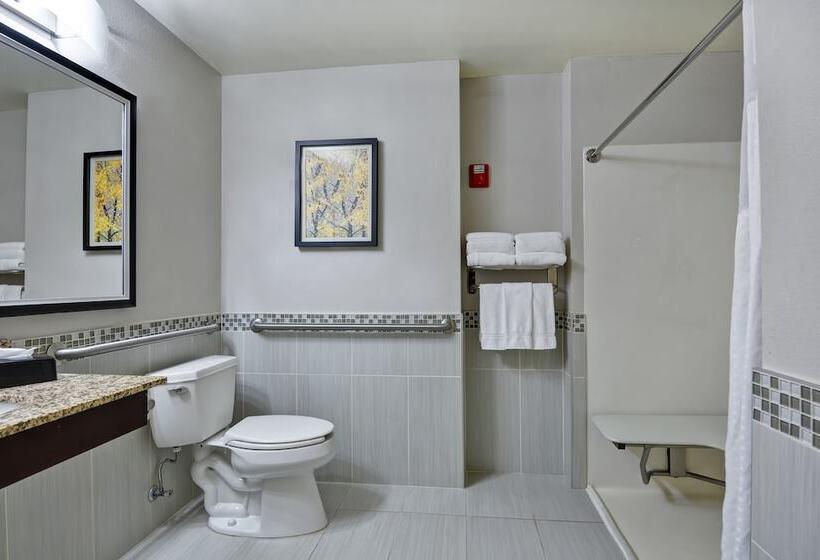Люкс, Holiday Inn Express Hotel & Suites Milwaukee New Berlin, An Ihg