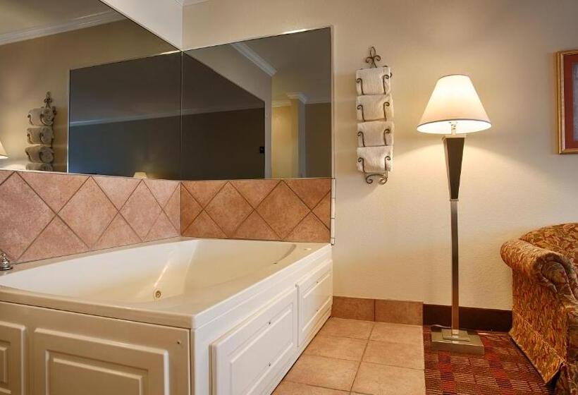Стандартный Номер Кровать Кинг, Best Western Clubhouse Inn & Suites