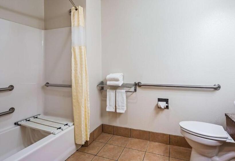 Стандартный Номер Кровать Кинг, Best Western Clubhouse Inn & Suites