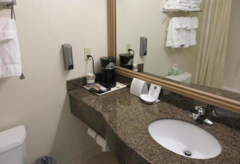 Номер Стандарт Кровать Квин Адаптированный для Инвалидов, Best Western Plus Lake Elsinore Inn & Suites