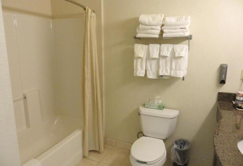 Номер Стандарт Адаптированный для Инвалидов, Best Western Plus Lake Elsinore Inn & Suites