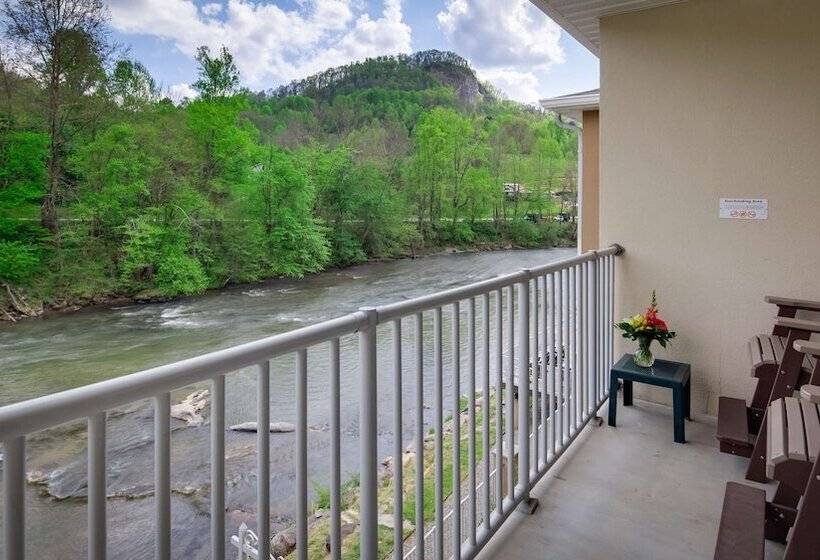Люкс, Best Western Plus River Escape Sylva / Dillsboro