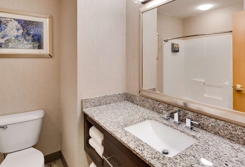 Люкс Вид на Реку, Best Western Plus River Escape Sylva / Dillsboro