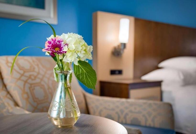 Стандартный Номер Кровать Кинг, Best Western Plus River Escape Sylva / Dillsboro