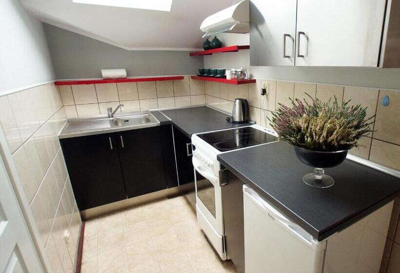آپارتمان اکونومی 1 خوابه, Blooms Inn & Apartments