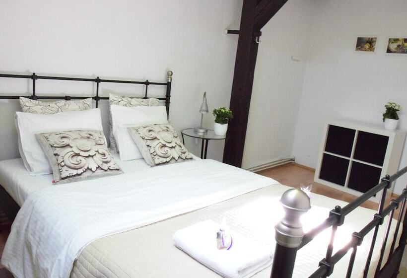 آپارتمان اکونومی 1 خوابه, Blooms Inn & Apartments