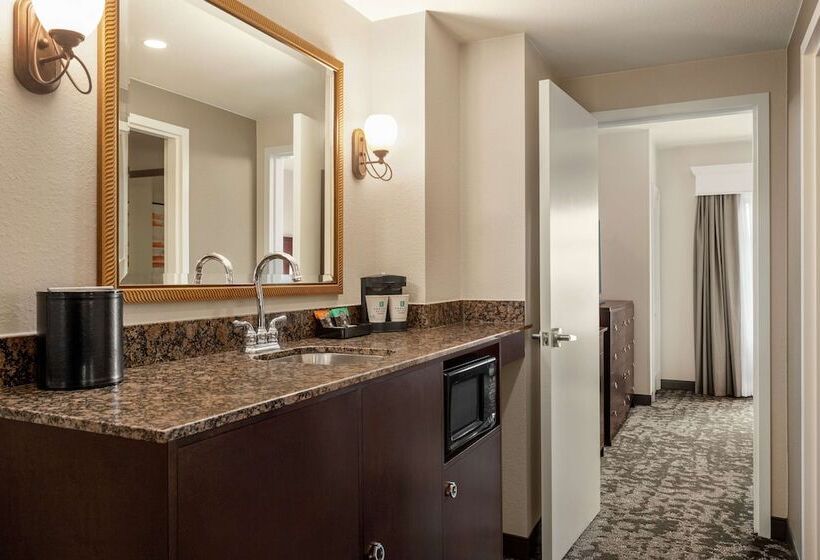 スイート, Embassy Suites By Hilton Orlando Lake Buena Vista South