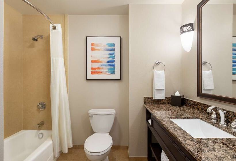 デラックススイート, Embassy Suites By Hilton Orlando Lake Buena Vista South