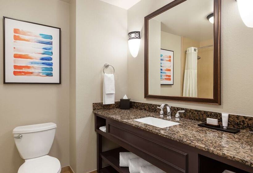 プレミアムスイート, Embassy Suites By Hilton Orlando Lake Buena Vista South