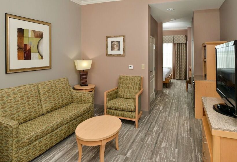 小型套房, Hilton Garden Inn Denton