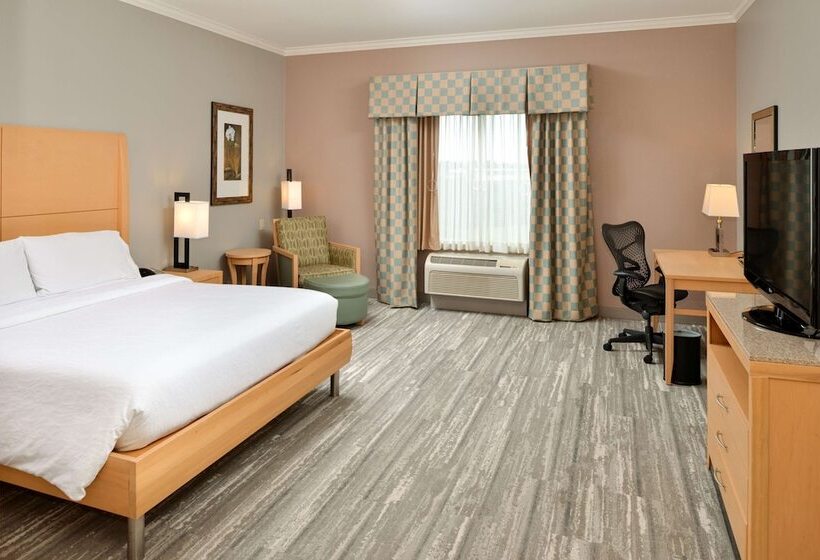 适合残疾人士使用的带超级大床的标准间, Hilton Garden Inn Denton