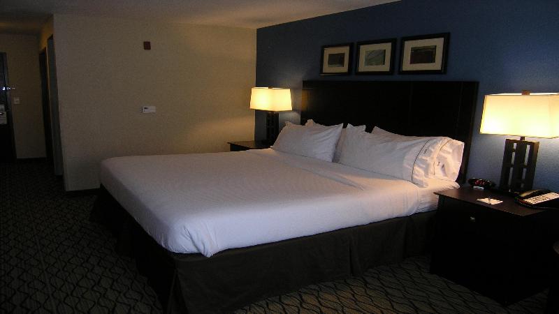 장애인을 위한 킹사이즈 침대 스탠다드 룸, Holiday Inn Express & Suites Belle Vernon By Ihg