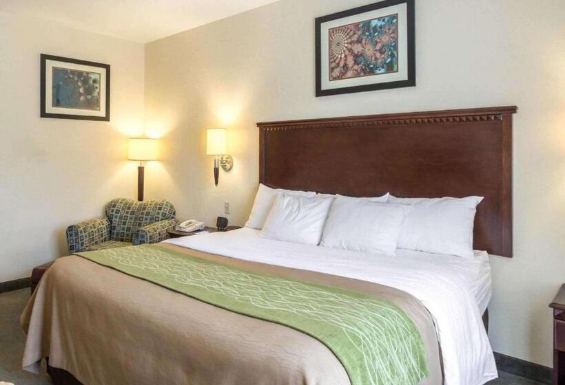 Люкс Кровать Кинг, Quality Inn Donaldsonville  Gonzales