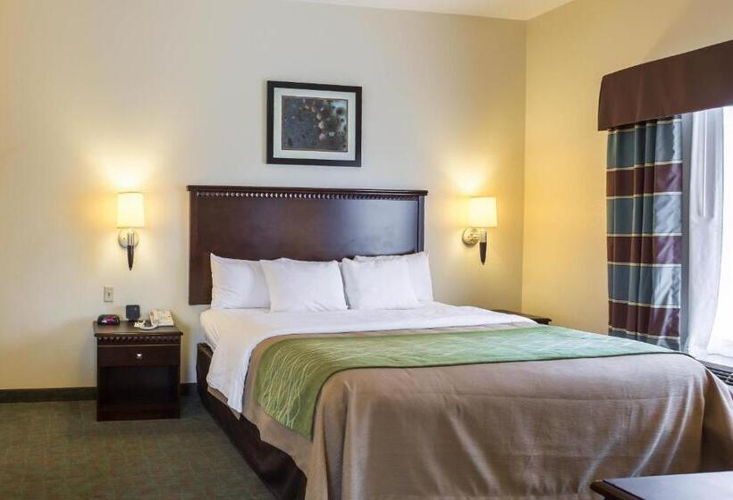 Люкс Адаптированный для Инвалидов, Quality Inn Donaldsonville  Gonzales
