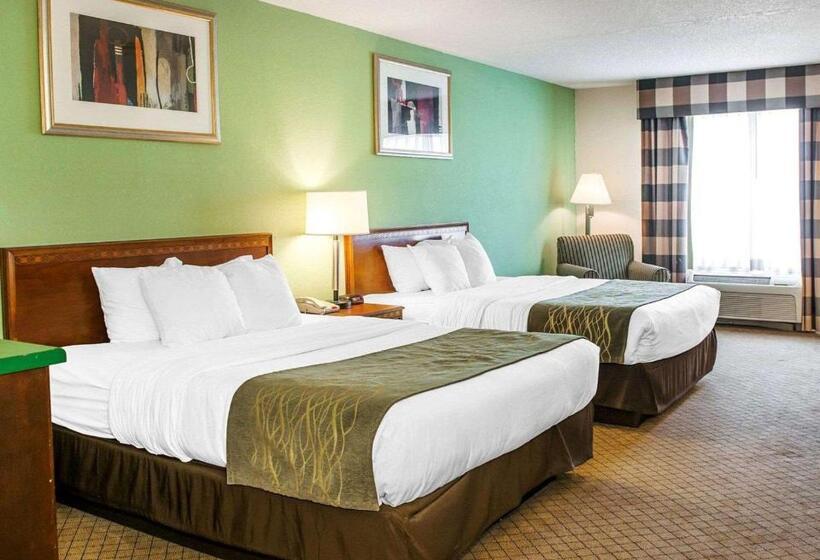 スタンダードルーム, Comfort Inn