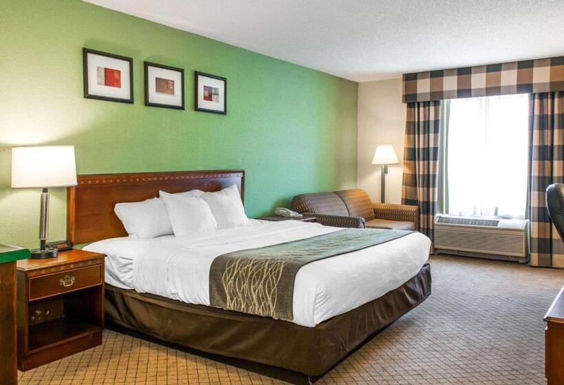 キングサイズベッドのスタンダードルーム, Comfort Inn