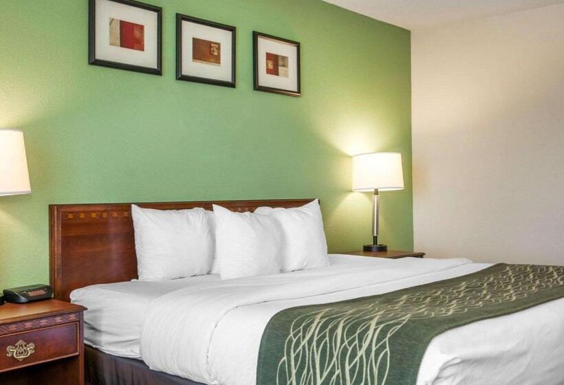 身障者適用キングサイズベッドルーム, Comfort Inn