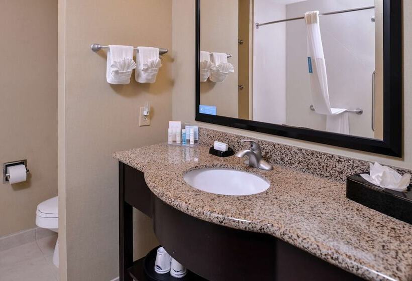 标准间, Hampton Inn & Suites Big Spring