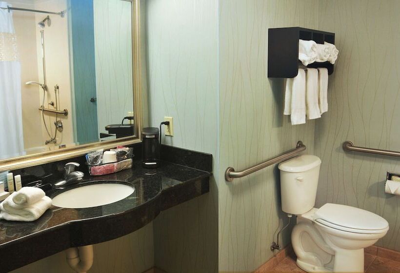 اتاق استاندارد, Hampton Inn Gadsden/attalla I59