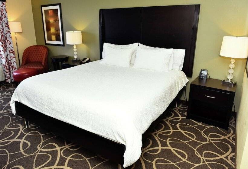 스탠다드 룸, Hilton Garden Inn Atlanta/peachtree City