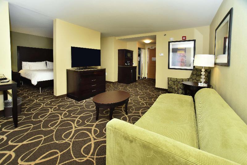 스탠다드 룸 킹사이즈 침대, Hilton Garden Inn Atlanta/peachtree City
