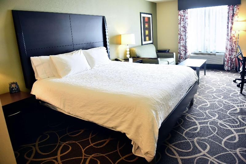 주니어 스위트 킹사이즈 침대, Hilton Garden Inn Atlanta/peachtree City