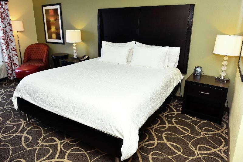 스탠다드 룸 킹사이즈 침대, Hilton Garden Inn Atlanta/peachtree City