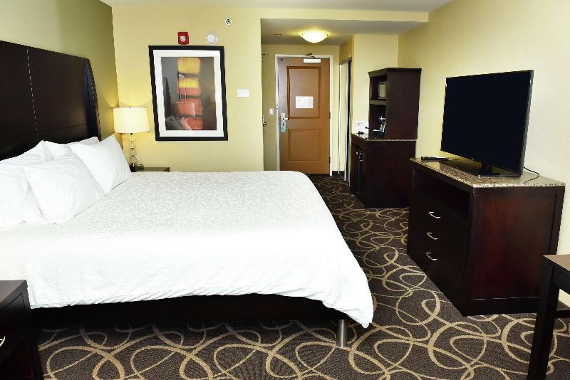 스탠다드 룸 킹사이즈 침대, Hilton Garden Inn Atlanta/peachtree City