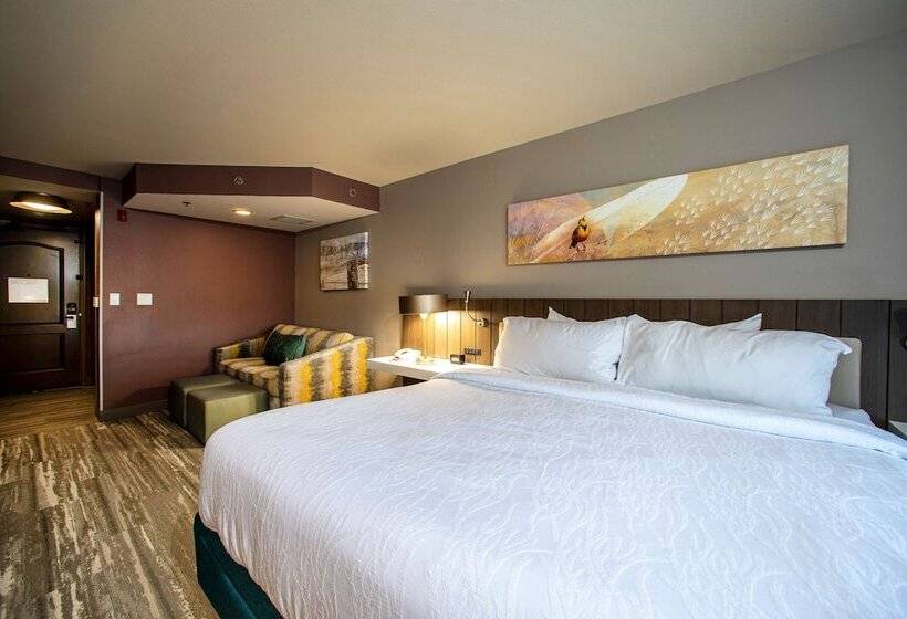 Номер Deluxe, Hilton Garden Inn Rapid City