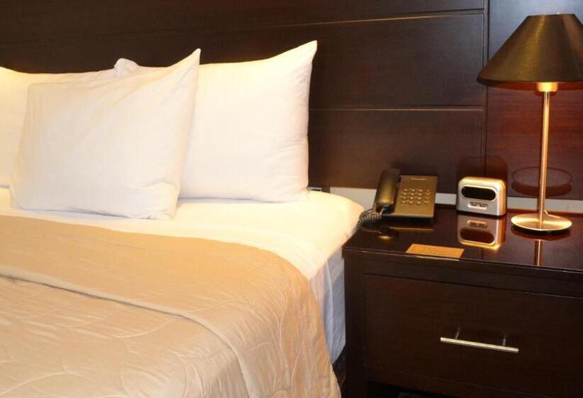 스탠다드 싱글 룸, Villa Florencia Zona Rosa