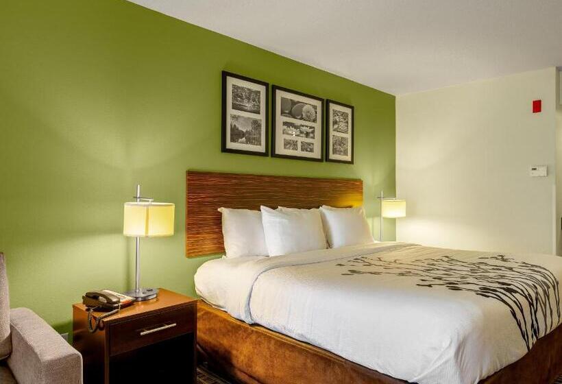 适合残疾人士使用的带超级大床的标准间, Sleep Inn & Suites Harbour Pointe