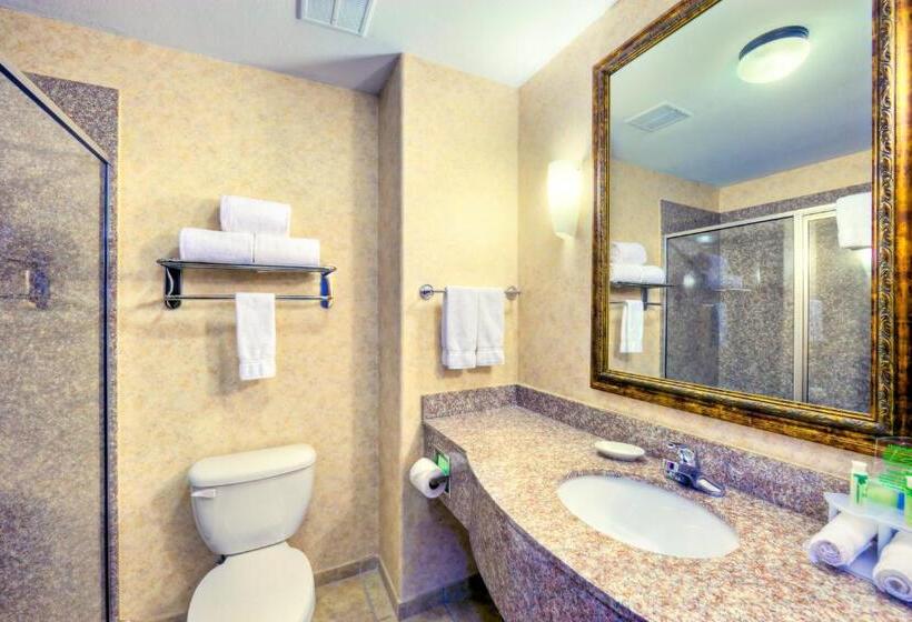 מיטת קינג בסוויטה, Holiday Inn Express And Suites Granbury, An Ihg