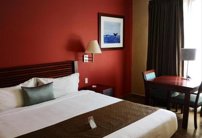 اتاق استاندارد با تخت بزرگ, Seven Crown La Paz Centro Historico
