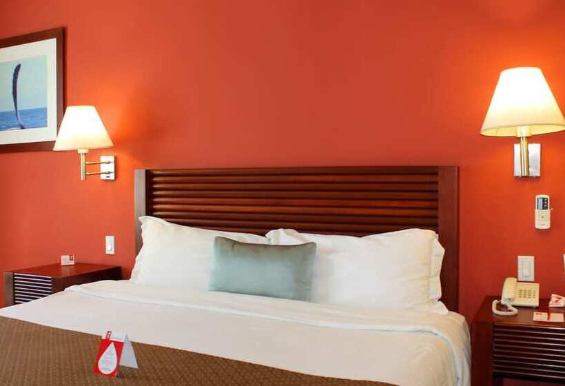 اتاق استاندارد با تخت بزرگ, Seven Crown La Paz Centro Historico
