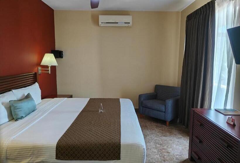 اتاق سوپریور با تخت بزرگ, Seven Crown La Paz Centro Historico