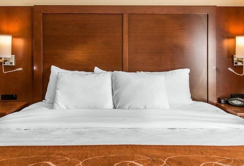 Люкс Адаптированный для Инвалидов, Comfort Suites