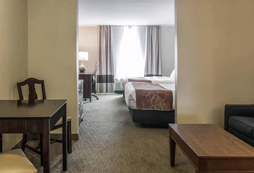 Люкс, Comfort Suites