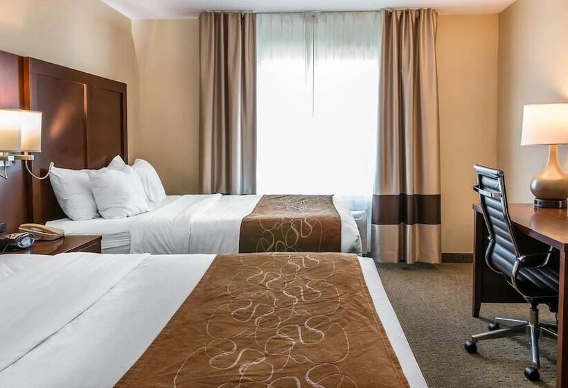 Люкс, Comfort Suites