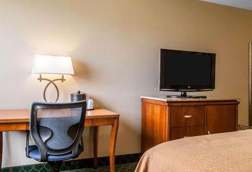 带2个双人床的标准工作室, Quality Inn Cairo I57