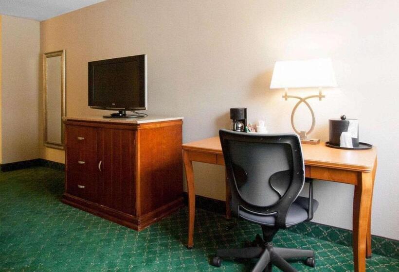 带大床的标准间, Quality Inn Cairo I57