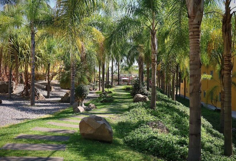 اتاق استاندارد, Zar Colima