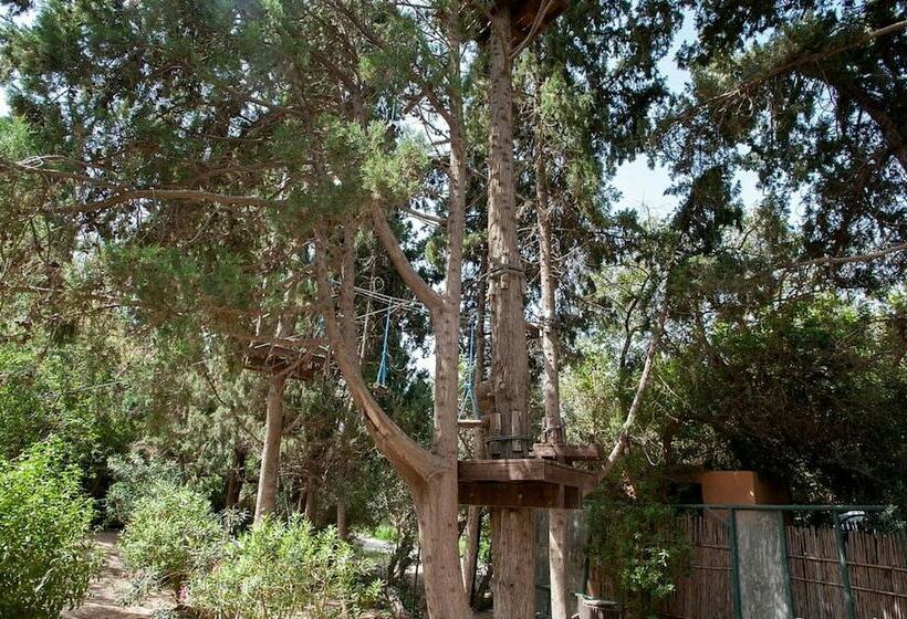 اتاق استاندارد سه تخته با چشم‌انداز باغ, El Ksar Resort & Thalasso