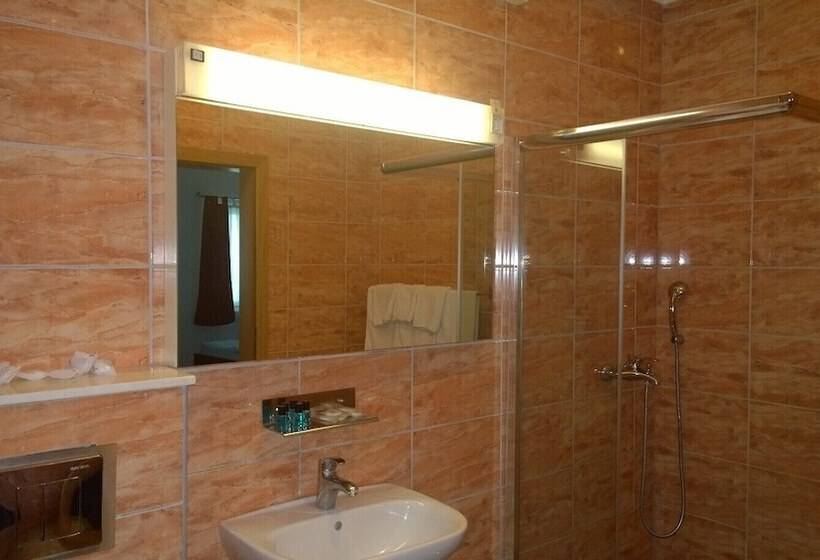اتاق استاندارد, Bm International