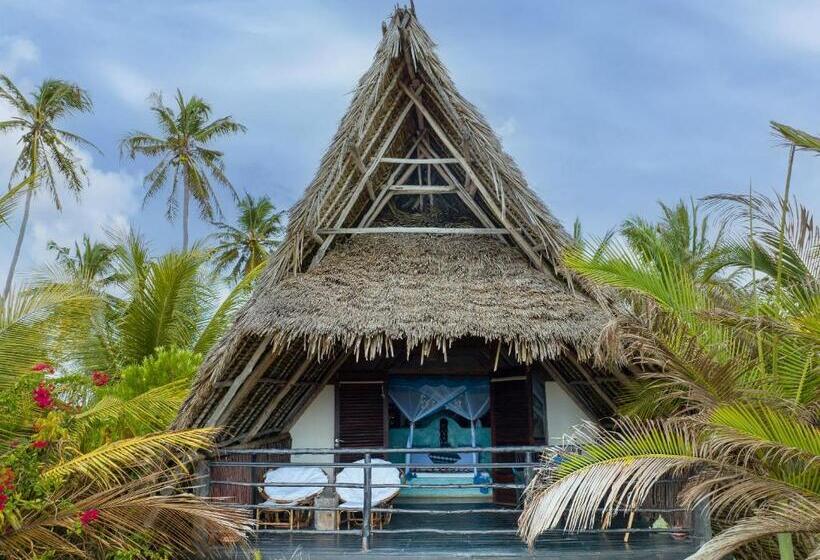 Полулюкс Вид на Море, Zoi Beach House